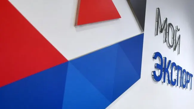 РЭЦ назвал Танзанию одним из приоритетов африканского направления