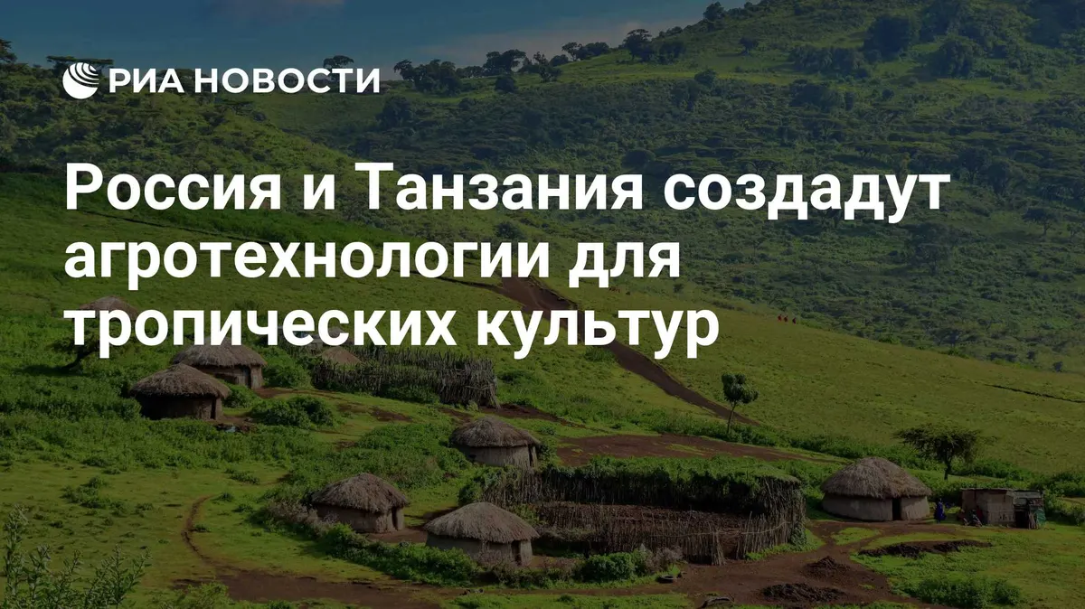 Россия и Танзания создадут агротехнологии для тропических культур