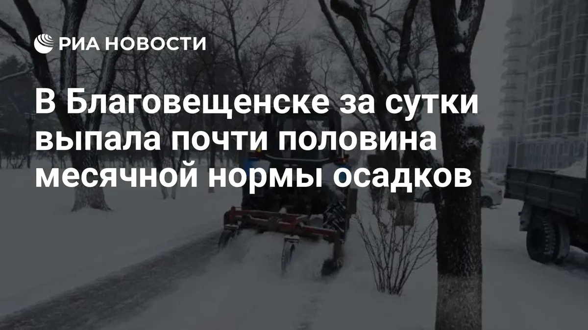В Благовещенске за сутки выпала почти половина месячной нормы осадков
