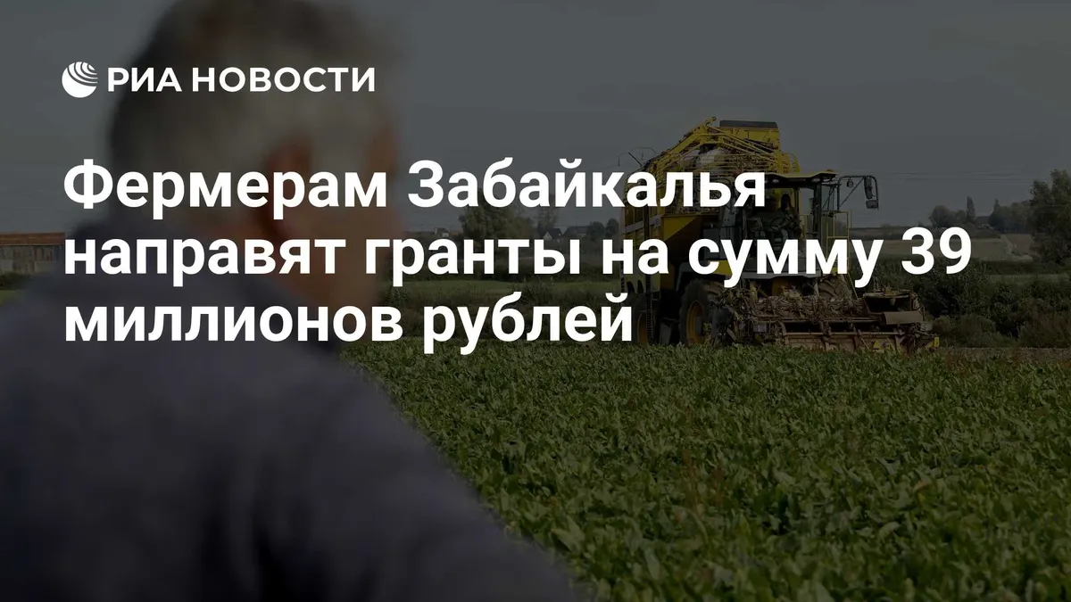 Фермерам Забайкалья направят гранты на сумму 39 миллионов рублей