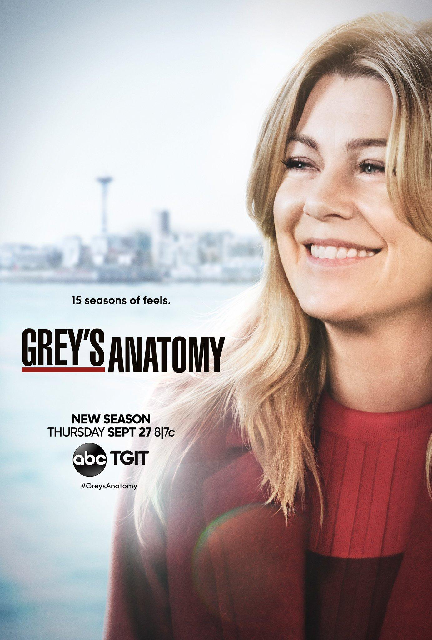 Сериал Анатомия страсти/Grey's Anatomy  15 сезон онлайн