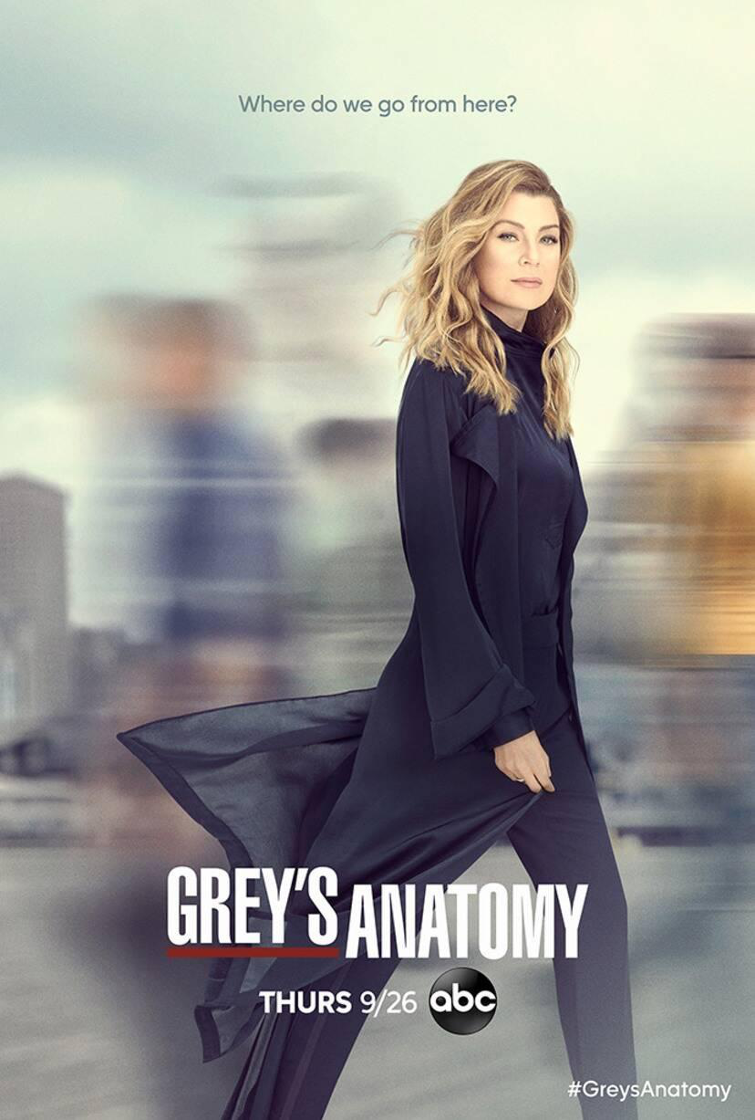 Сериал Анатомия страсти/Grey's Anatomy  16 сезон онлайн