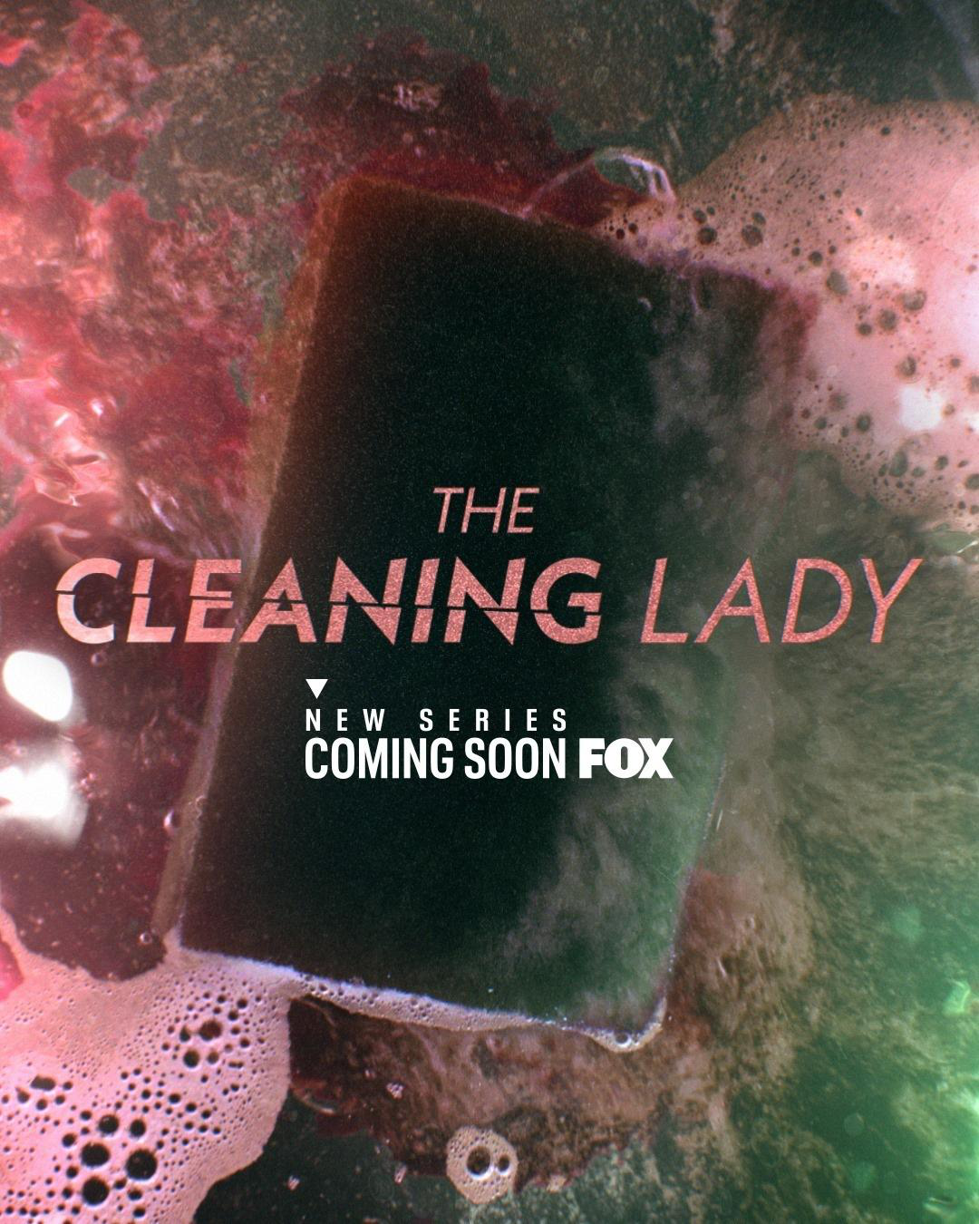 Сериал Уборщица (2021)/The Cleaning Lady онлайн