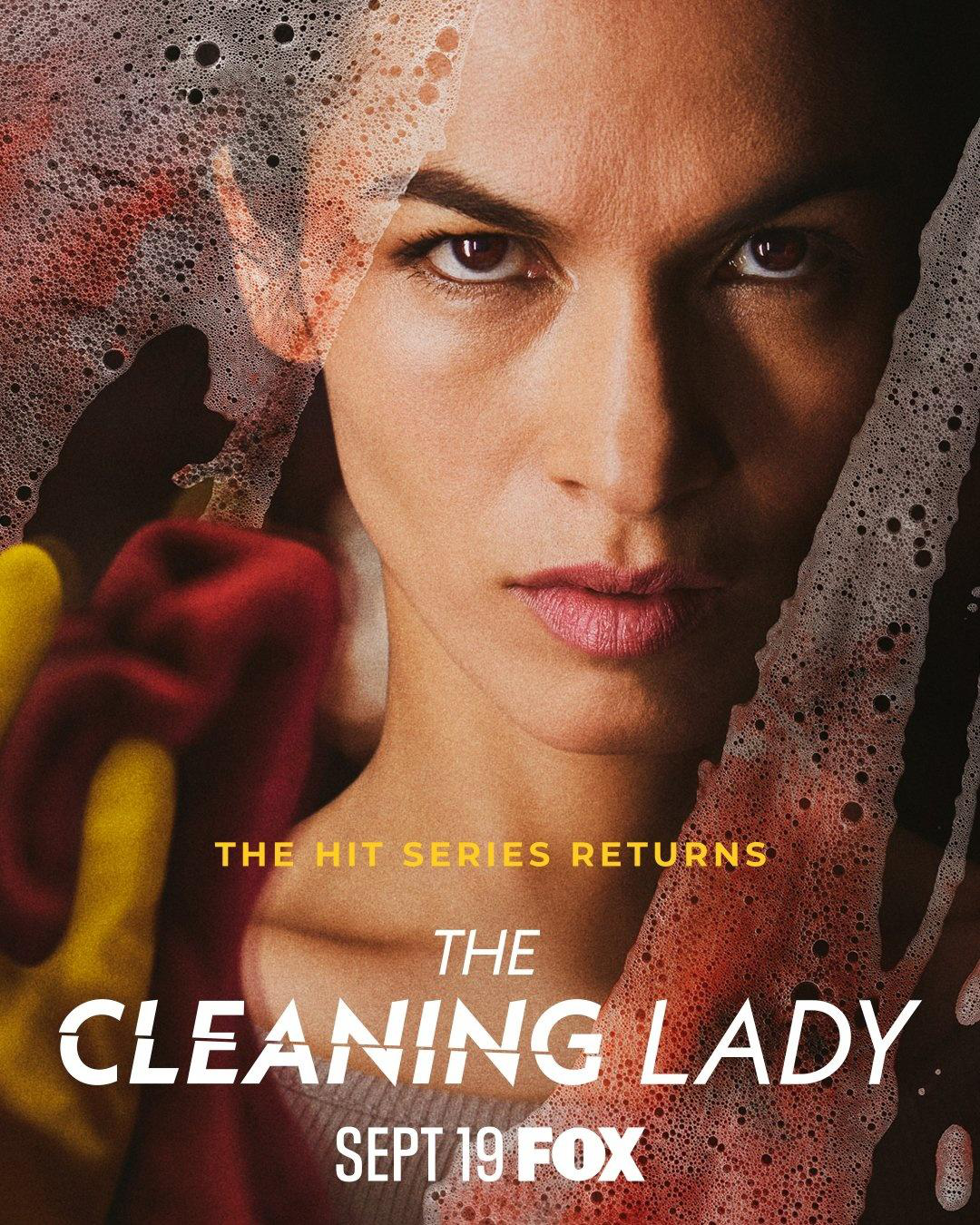 Сериал Уборщица (США)/The Cleaning Lady  2 сезон онлайн