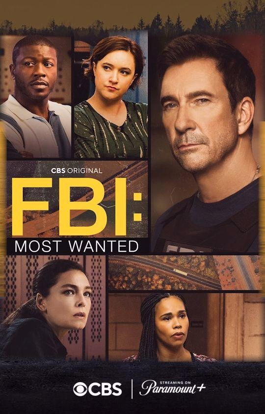 Сериал ФБР: Самые разыскиваемые/FBI: Most Wanted  4 сезон онлайн