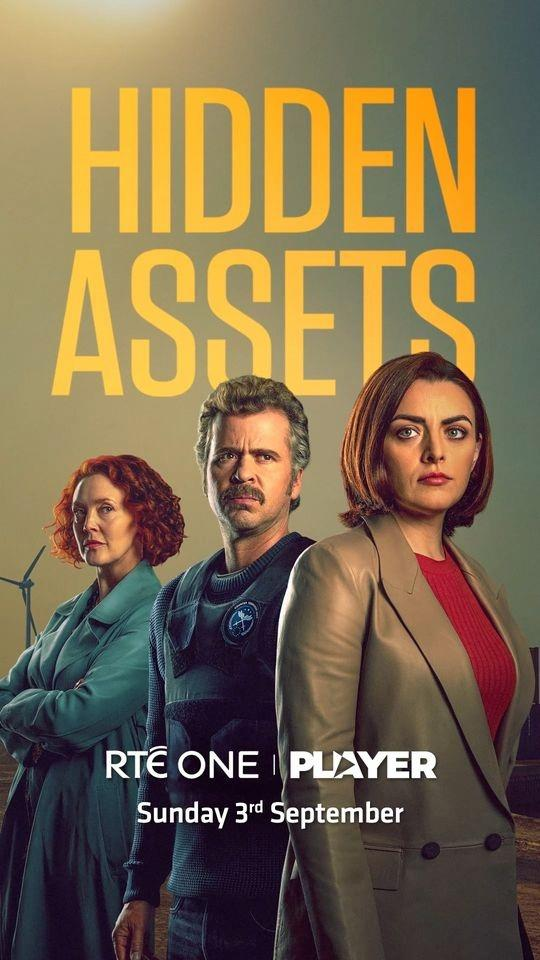 Сериал Скрытые активы/Hidden Assets  2 сезон онлайн