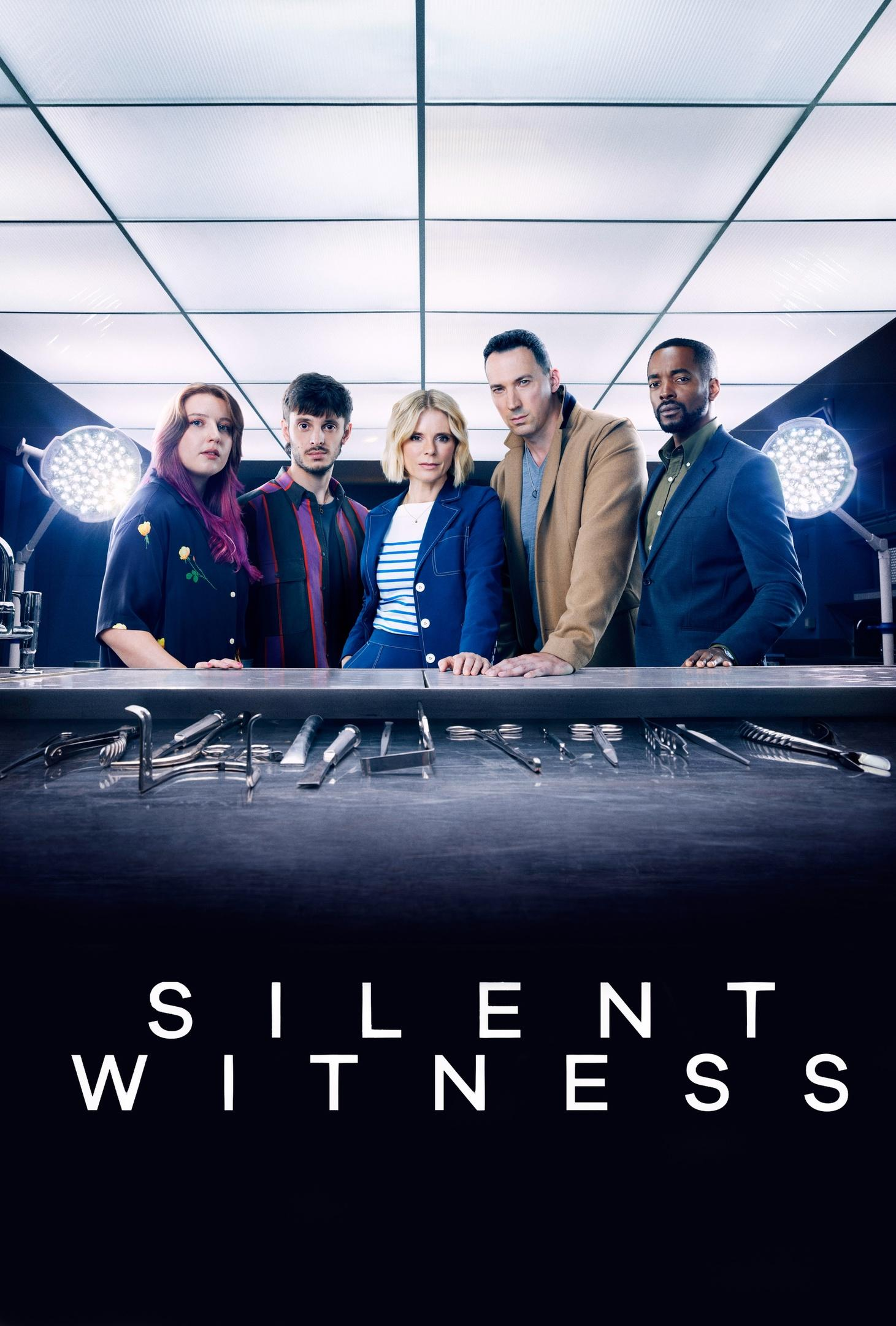 Сериал Безмолвный свидетель/Silent Witness  27 сезон онлайн