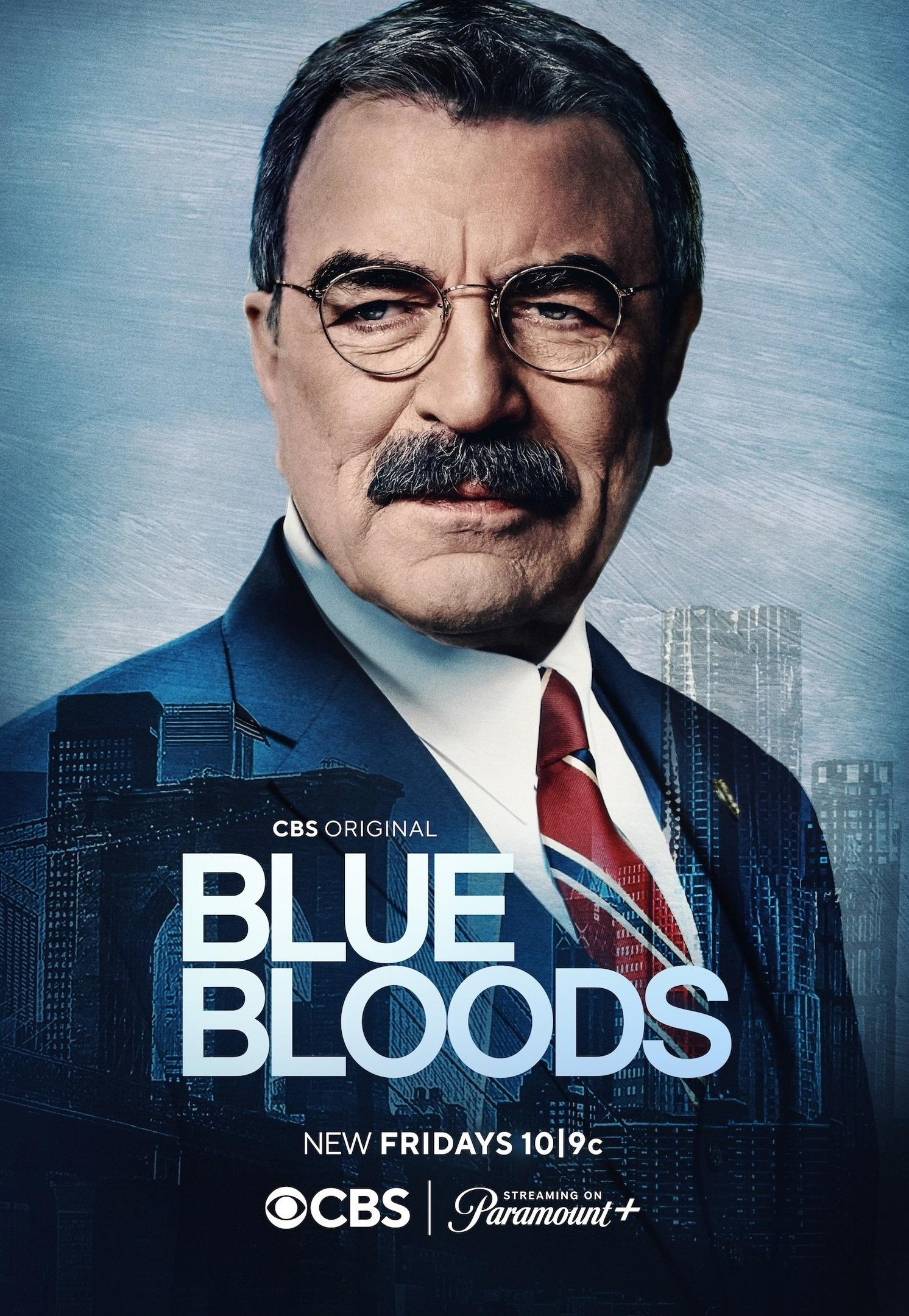 Сериал Голубая кровь/Blue Bloods  14 сезон онлайн