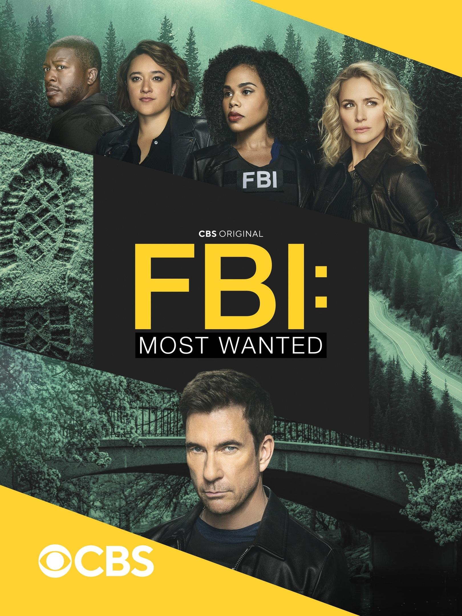 Сериал ФБР: Самые разыскиваемые/FBI: Most Wanted  5 сезон онлайн