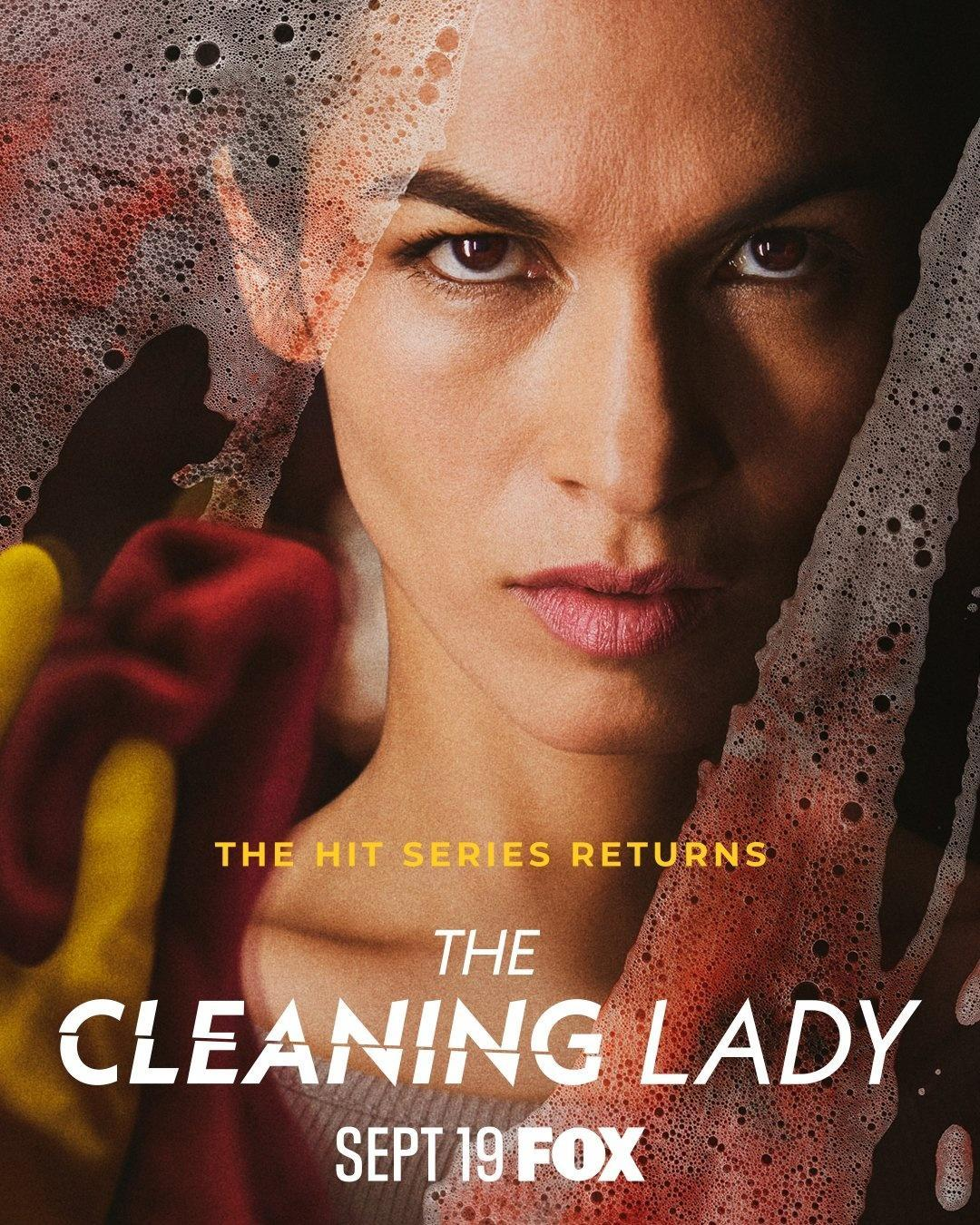 Сериал Уборщица (США)/The Cleaning Lady  3 сезон онлайн