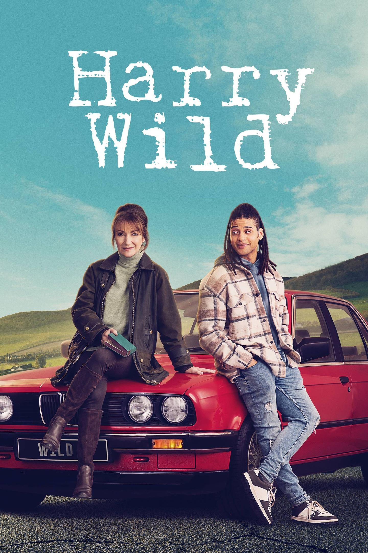 Сериал Харри Уайлд/Harry Wild  3 сезон онлайн