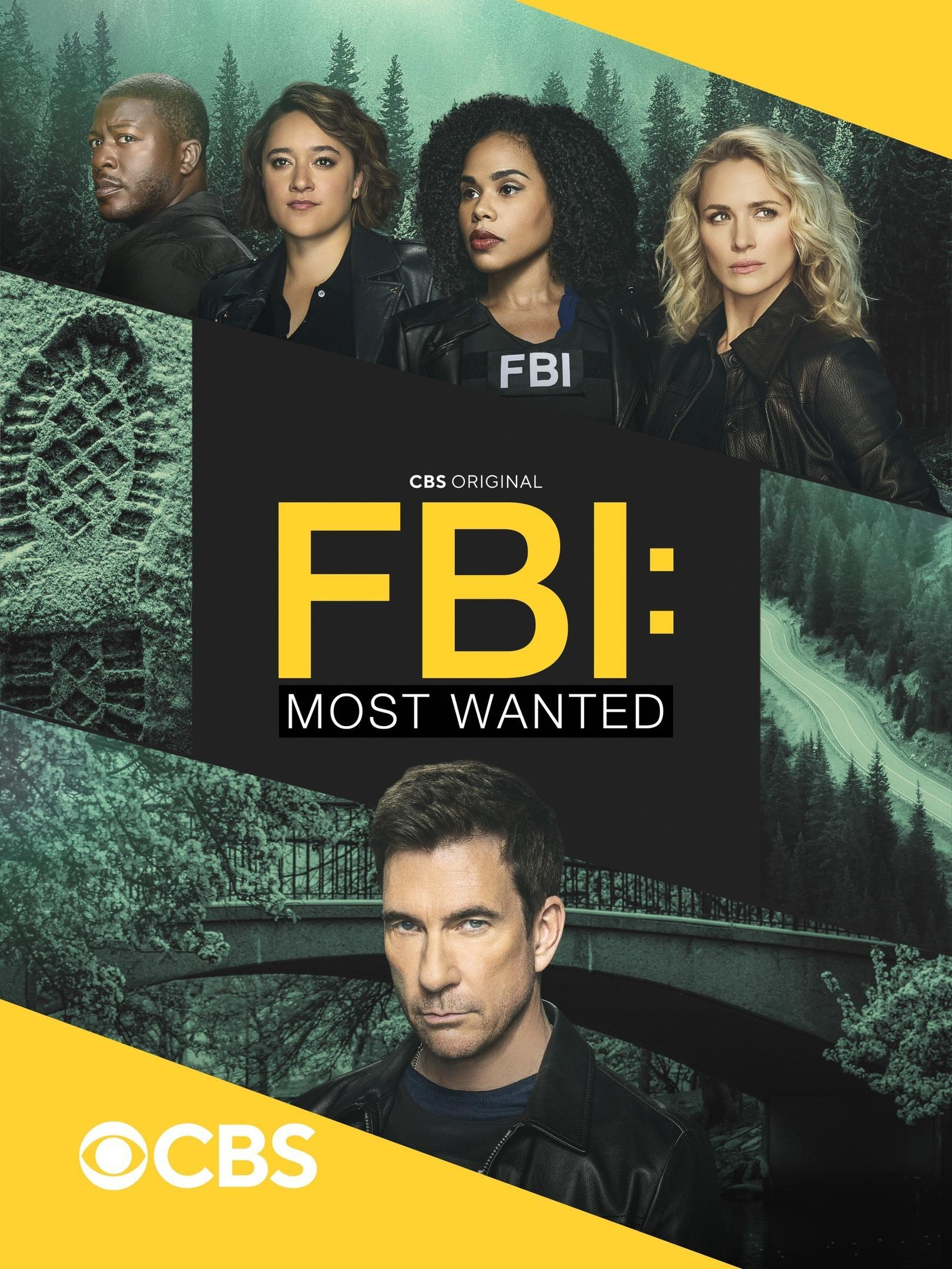 Сериал ФБР: Самые разыскиваемые/FBI: Most Wanted  6 сезон онлайн