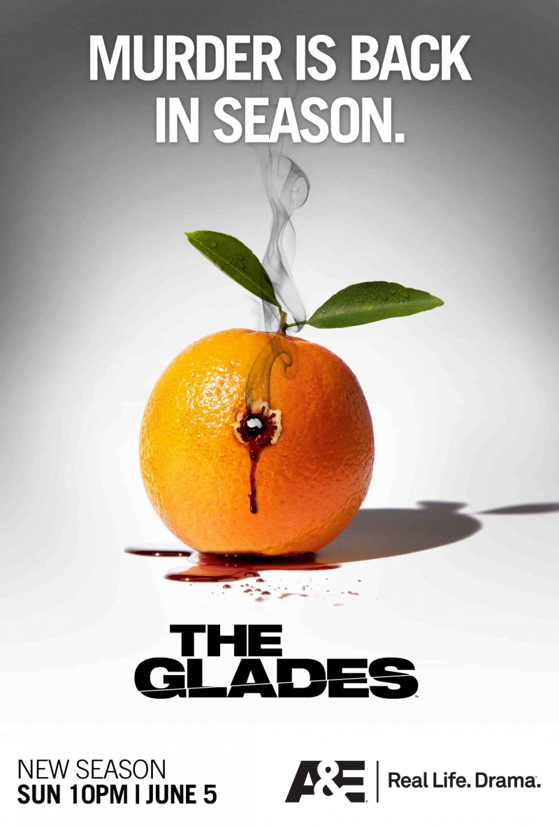 Сериал Болота/The Glades  1 сезон онлайн