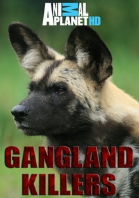 Сериал Гангстеры дикой природы/Gangland Killers онлайн