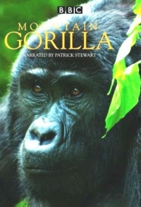 Сериал Горная горилла/Mountain Gorilla онлайн