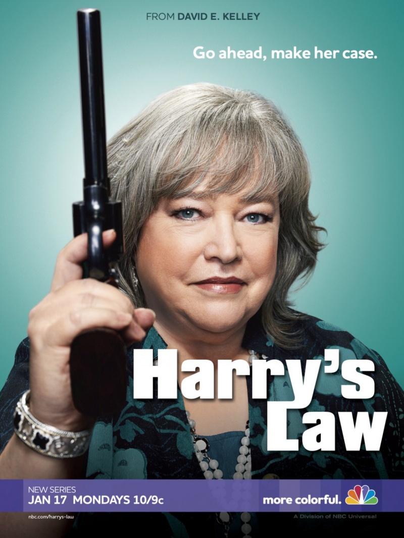 Сериал Закон Хэрри/Harry s Law  1 сезон онлайн
