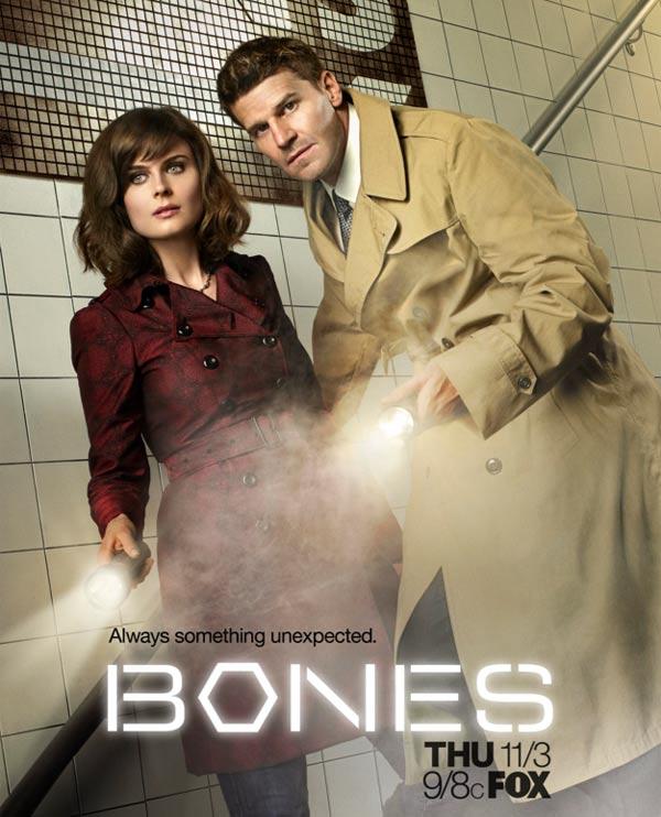 Сериал Кости/Bones  12 сезон онлайн