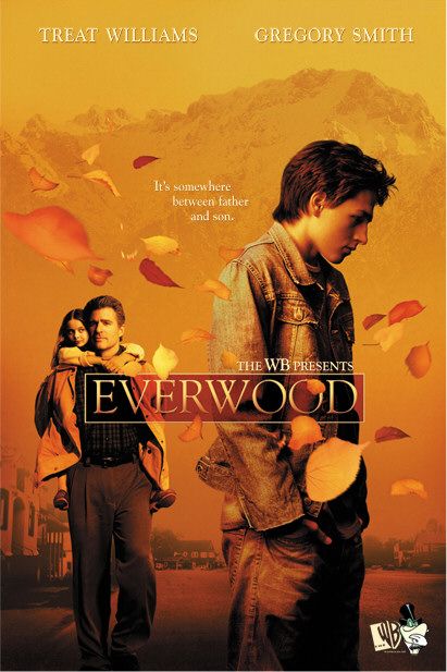 Сериал Любовь вдовца/Everwood  1 сезон онлайн