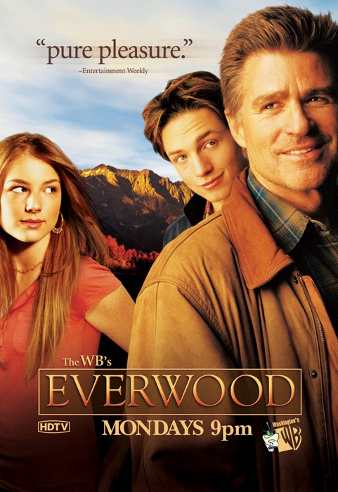 Сериал Любовь вдовца/Everwood  2 сезон онлайн