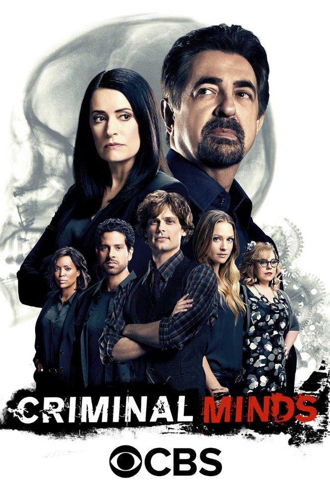 Сериал Мыслить как преступник/Criminal Minds  13 сезон онлайн