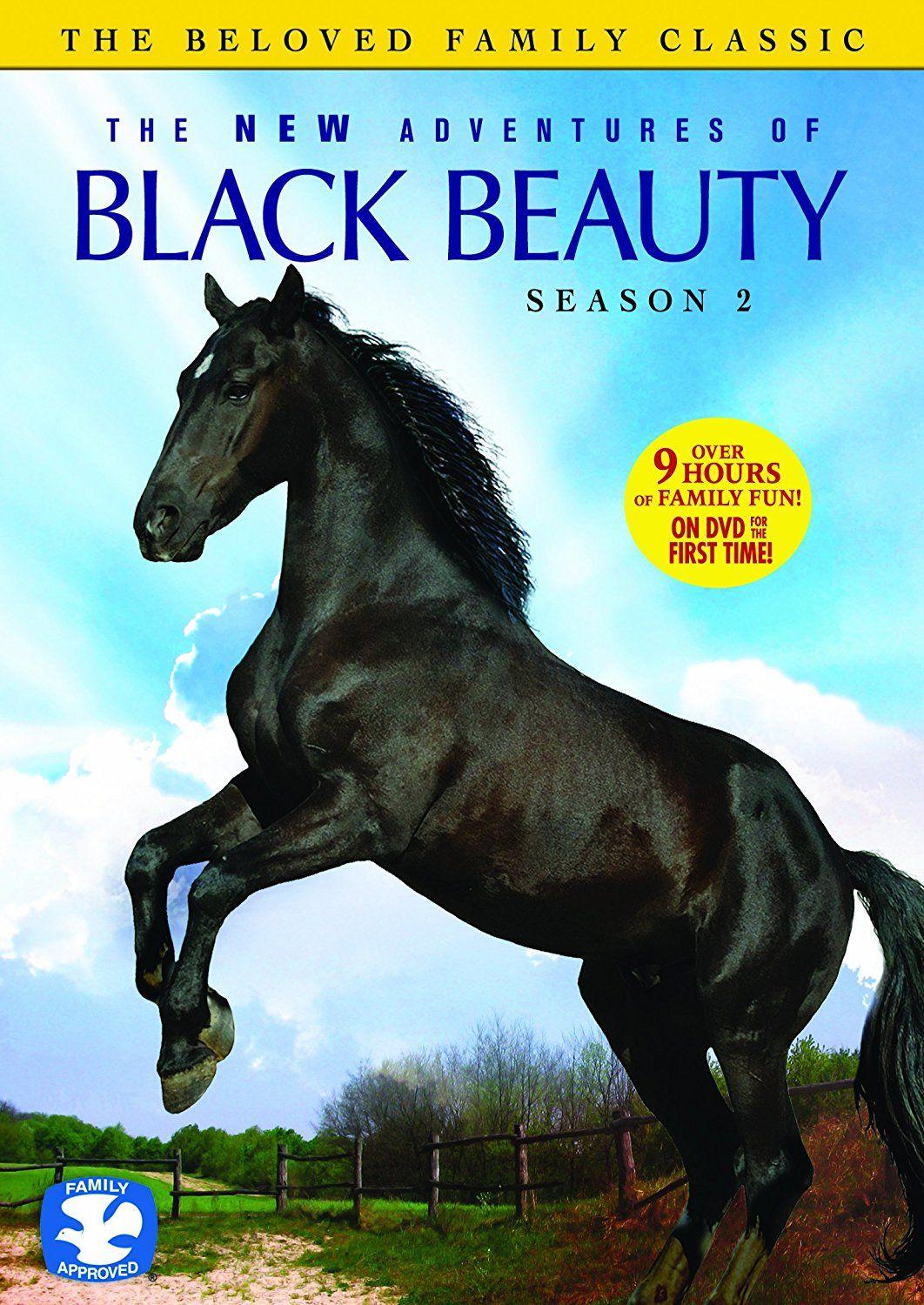 Сериал Новые приключения Черного красавчика/The New Adventures of Black Beauty  2 сезон онлайн