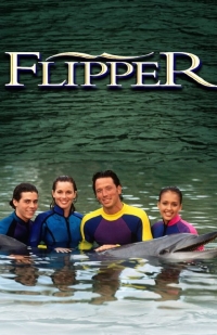 Сериал Флиппер/Flipper  1 сезон онлайн