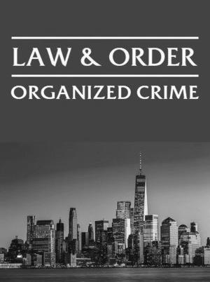 Сериал Закон и порядок: организованная преступность/Law & Order: Organized Crime онлайн