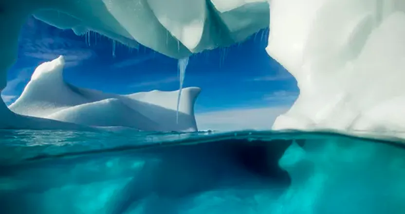 UX designer reviewing wireframes and user flow diagrams before web development begins