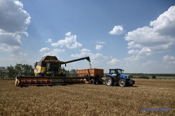 Уряд затвердив механізм підтвердження власного вирощування сої та ріпаку для пільги з експорту