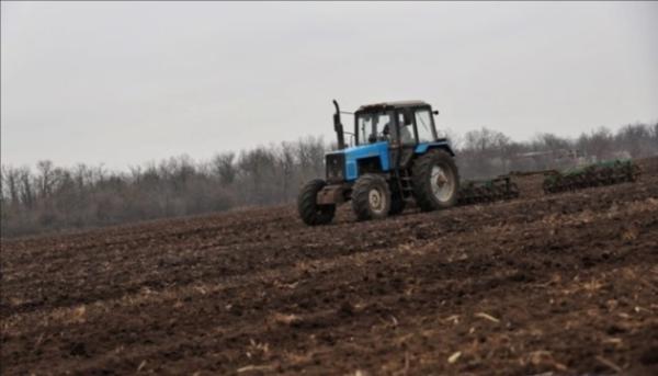 Загальні показники озімої кампанії: темпи та прогнози