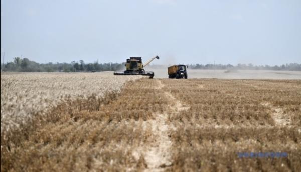 Стан сільського господарства України: регіональні диспропорції та шляхи відновлення