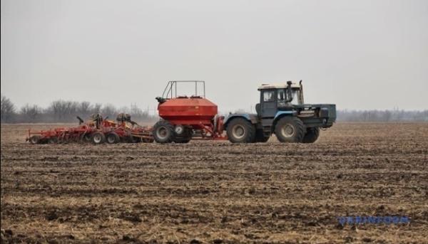 Хід озимої кампанії 2025: Україна засіяла понад 2,5 мільйони гектарів