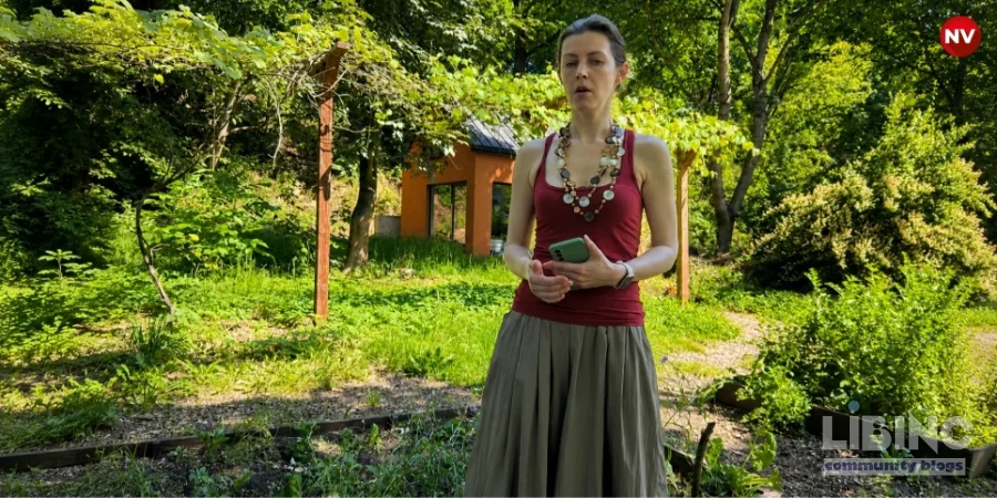 Міське садівництво у Львові: публічні простори, волонтерство та адаптація до кліматичних викликів