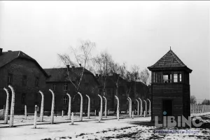 Юрій Ковальський: пастир з Галичини, що пережив Аушвіц, Дахау та еміграцію до Канади