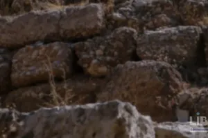 Психологічне насильство: як розпізнати, зупинити та відновитися в парі, школі та онлайн
