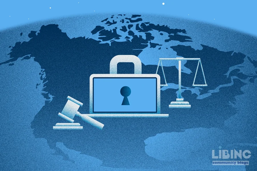 The Geopolitical Cost of Data Privacy in a Hostile Digital Era