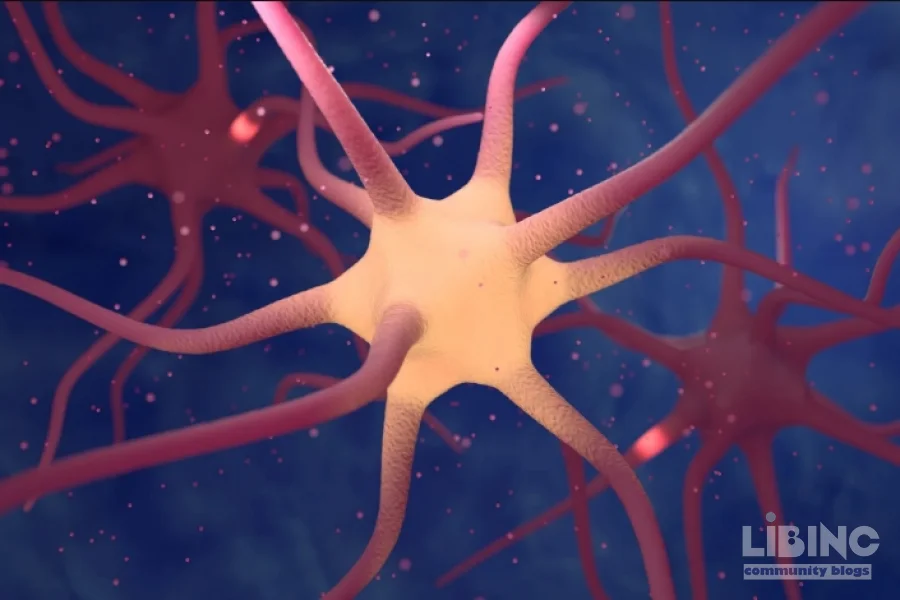 Neuropeptides: Central Mediators of Brain-Body Communication, Signaling, and Therapeutic Potential