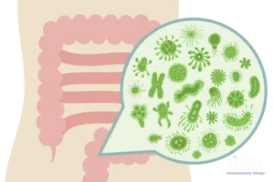 The Non-Bacterial Gut Microbiome: Fungi and Archaea as Key Modulators of Metabolism, Immunity, and Health