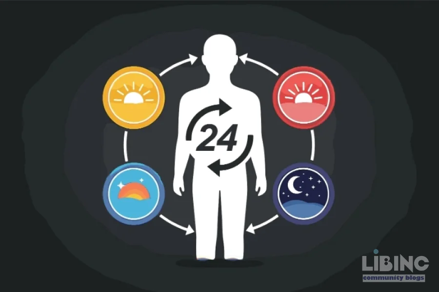 Circadian Meal Timing and Metabolic Health: Aligning Eating with the Body's Clocks