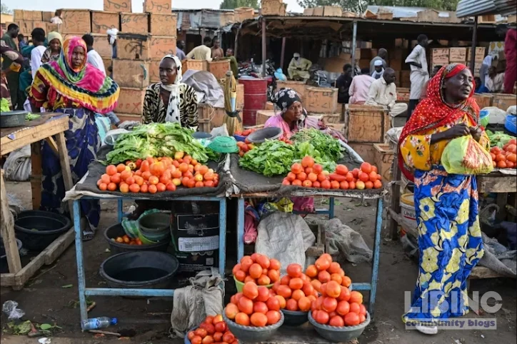 A Food Choice Questionnaire for Africans: Designing Context-Sensitive Tools to Understand Eating Habits in Emerging Economies