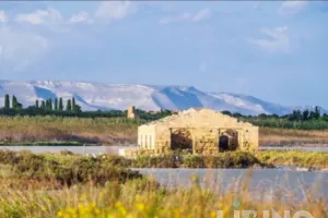 Vendicari Nature Reserve: A Sicilian Wetland Model for Conservation and Community Resilience
