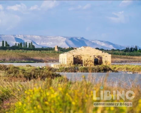 Vendicari Nature Reserve: A Sicilian Wetland Model for Conservation and Community Resilience