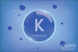 Potassium Intake and Cardiovascular Health: An Analytical Synthesis
