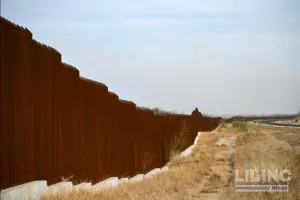 Toward Comprehensive Immigration Reform: From Polarized Debates to a Durable, Long-Term Solution