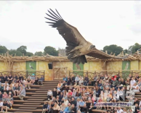 Kynren: the Storied Lands and Bishop Auckland's Cultural Regeneration: A Case Study