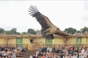 Kynren: the Storied Lands and Bishop Auckland's Cultural Regeneration: A Case Study