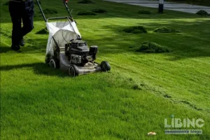 Best Time to Mow Your Lawn: Weather-Driven Guidelines for Healthy Grass