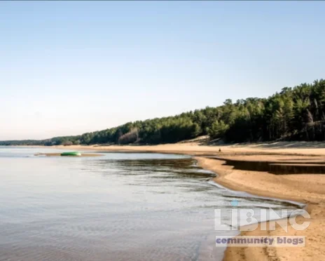 European Beaches Reimagined: Long Shores, Pine Forests, and Train-Accessible Coastal Experiences