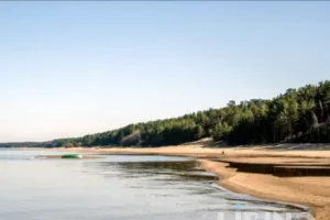 European Beaches Reimagined: Long Shores, Pine Forests, and Train-Accessible Coastal Experiences