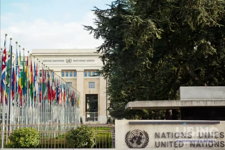 United Nations in a Multipolar World: Architecture, Power, and Reform
